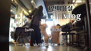 1인미용실의 하루 vlog