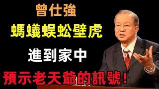 螞蟻、蜈蚣、壁虎進到家中，預示著什麼？是老天爺的重大訊號！#曾仕強#民間俗語#中國文化#國學#國學智慧#佛學知識#人生感悟#人生哲理#佛教故事