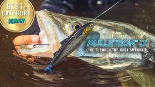 A Deeper Look at the Mulletron LT