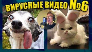 ВИРУСНЫЕ ВИДЕО / Подборка смешных моментов №6