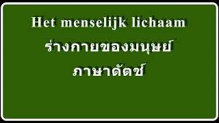 Het menselijk lichaamsdelen ภาษาดัตช์ อวัยวะของร่างกายมนุษย์