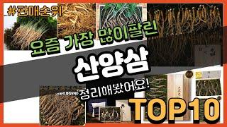 산양삼 추천 판매순위 Top10 || 가격 평점 후기 비교