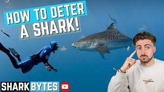 How to DETER a Shark... With Your EYES!?