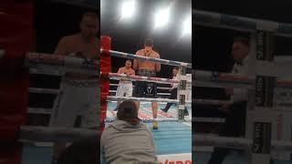 Albert sosnowski vs Łukasz Różański KO 1 runda