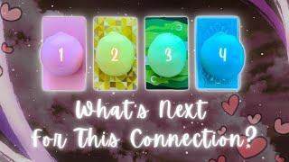 Where’s This Connection Headed?🫢 Pick a Card *Timeless* In-Depth Love Tarot Reading