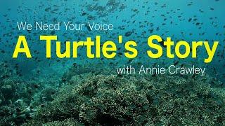 A Turtle's Story Plastic Fishing Line And Annie Crawley Planet Ocean