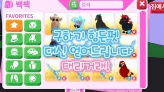 구하기 힘든펫 대신 얻어드립니다!! 입양하세요 대리거래 #입양하세요 #입양하세요이벤트 #입양하세요업데이트