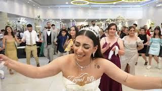 Özge & Birtan - Düğün - Grup Diyan 2023 - Full Halay  - Malatya Dersim - Darmstadt - AlpCamera