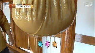 군침 도는 완숙 꿀 채밀 비법! [황수경의 생활보감] 13회 20170702