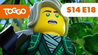 NINJAGO Deutsch | Rückkehr ins Auge des Urwalds | S14 F18 | LEGO | Ganze Folge | TOGGO ​Serien