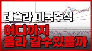 테슬라 미국주식 어디까지 올라 갈 수 있을까?