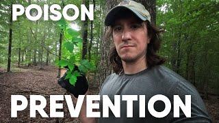 I Get Poison Ivy So You Don't Have To (Or, learning to not get poison ivy)