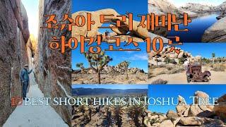 조슈아 트리 국립공원 재미나고 짧은 하이킹 코스10 best short hikes in Joshua Tree National Park