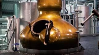 Industry Insights: Penderyn Distillery