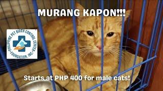 MURANG KAPON sa PPBCC Philippine Pet Birth Control Center Mandaluyong | #jamiegotyou