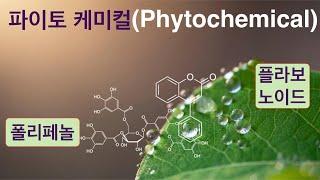 암 #10: 파이토케미컬(phytochemical), 폴리페놀(polyphenol), 플라보노이드(flavonoid) 란 무엇인가? #기능의학, #비타민