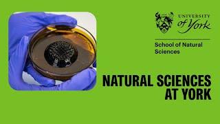 Natural Sciences at York