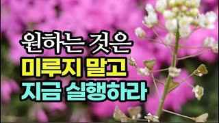 인내하며 기다리다 보면 꽃 피는 봄날처럼 좋은 날이 온다