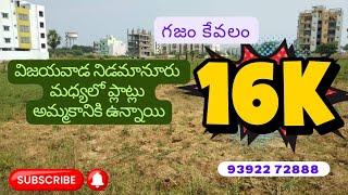 Land for sale in Vijayawada | 16000 Sq.yd | #vijayawada #andhrapradesh