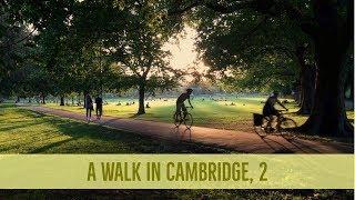 A Walk in Cambridge, 2