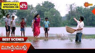 Moodu Mullu - Best Scenes | 19 Oct 2024  | Gemini TV | Telugu Serial