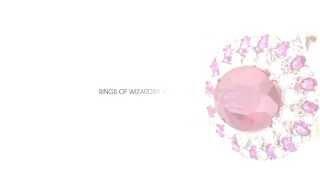 JEWELLED SYMPHONY - Rings of Wizardry & Wonderment by