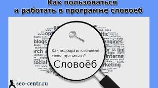 Словоеб - настройка словоЁБА и сбор ключевых фраз в программе.