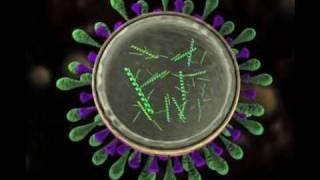 Science Today: Virus Mutation | California Academy of Sciences