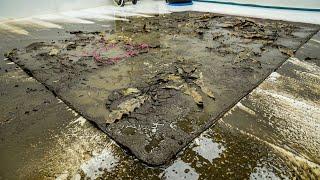 It Looked Like Trash… But It Was a $20,000 Rug - Satisfying Video, ASMR Cleaning