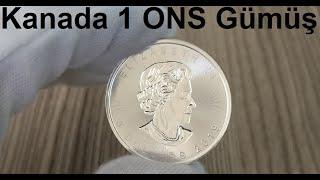 Kanada 5 Dolar 2019 1 ONS Gümüş Para