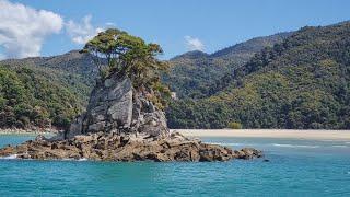 Anchorage beach and hiking in Abel Tasman National Park