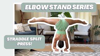 How to Press into your Elbow Stand (from Straddle Split)