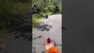 See how the monkey rushes for food #monkey #funnymonkey #shorts