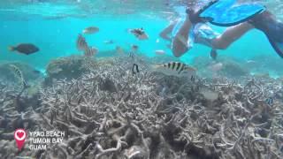 Ypao Beach Snorkeling