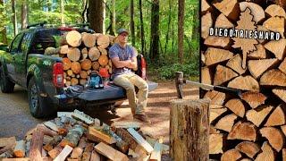 Gathering Firewood for the Winter at My Off Grid Cabin