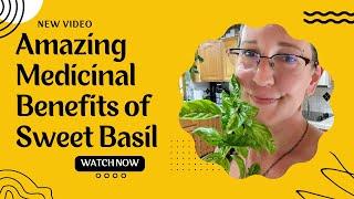 Amazing Medicinal Benefits of Sweet Basil