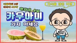 미국 여행  하와이 [여름 특집 2탄] 4편 카우아이 가지마세요. 안전하게 랜선여행 즐기세요. -지식을 담은 여행-