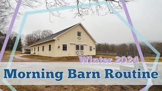 MY MORNING BARN ROUTINE: Feeding the Horses & Barn Chores | Winter 2024 •  EQUESTRIAN VLOG