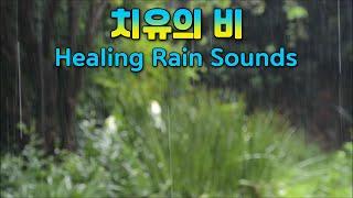 Relaxing rain sounds in a sleepy rain forest / Rain sounds for insomnia treatment