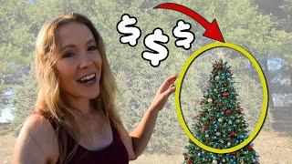 430 $60,000/ACRE?! (Big Money or Big FLOP?) Christmas Tree Farming 101 Interview With Retired Farmer