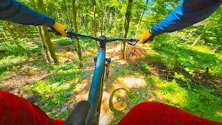 WARUM DU MEHR BLAUE MTB TRAILS FAHREN SOLLTEST 🟦