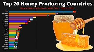 Top 20 Honey Producing Countries 1961-2019