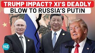 Chinese Port Operator Bans U.S.-Sanctioned Russian Oil Tankers | Cracks In Xi-Putin Friendship?