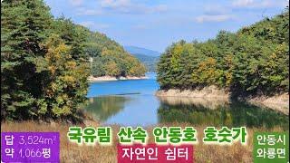 자연인 쉼터 (113)  평당 10만원 (국유림 산속 안동호 호숫가)(차량 진입) (생활용수 가능)(전기인입 가능) 경북 안동시 와룡면 오천리 010-4949-0049 안동역부동산