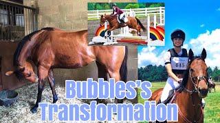 Bubbles’s Transformation // Before & After Training