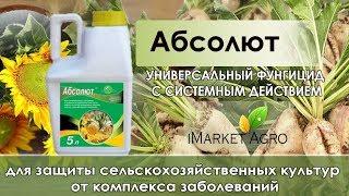 Абсолют фунгицид к.с. (аналог Дерозал) 5 литров Дефенда