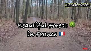 France Flourishing Forest View || Relaxing and Calming Nature Sounds || 2021