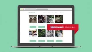 #1 Free Video Blogging WordPress Theme | TheMotion