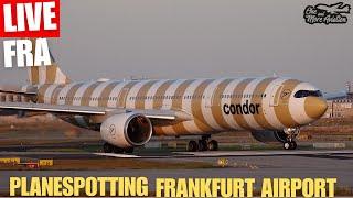 Live Sunset  Planespotting Frankfurt Airport Airshow 