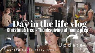 Getting our Christmas tree  | Storytime on haunted house and Thanksgiving meal haul! Ditl vlog